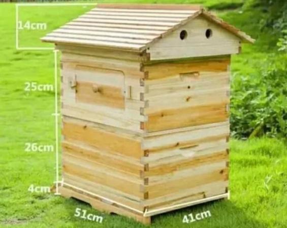 Image 3 of Auto flow bee hive (bees £200 extra)