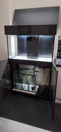 Image 4 of Bespoke Fish Tank / Aquarium, Sump & Stand Set-Up For Sale