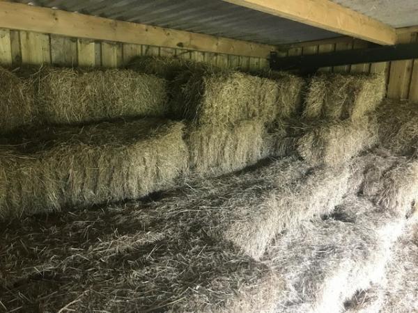 Image 3 of Small bale hay for sale £3.50 each