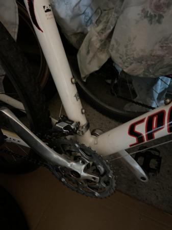 Image 3 of Specialized Hardrock sport