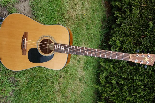 Image 3 of Bristol BD-16 Acoustic Guitar
