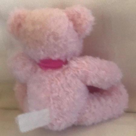 Image 2 of Vintage small pink teddy bear. Can post.