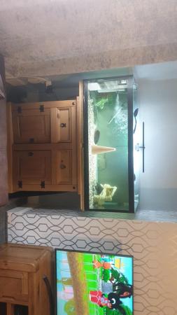 Image 3 of Fish tank and stand and everything needed to run 4ft tank