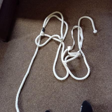 Image 2 of Two inhand  halters on rope and one cotton and rope