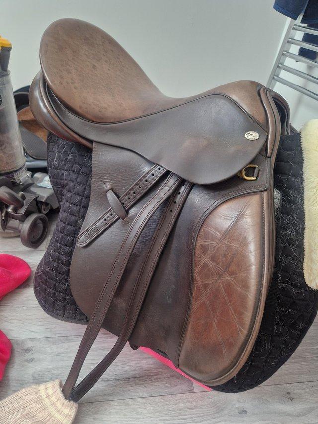 Preview of the first image of Farrington Brown Saddle. 17inch. Medium/Wide.