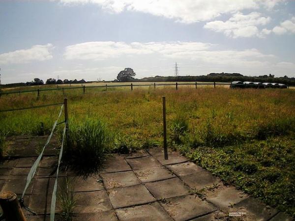 Image 5 of Stables on a Nine Acre Field available to Rent in Hawarden