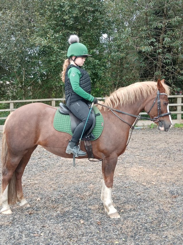 Preview of the first image of 13.2hh lead rein pony available for part loan.