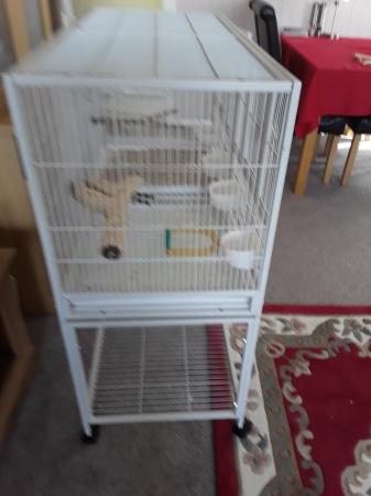 Image 1 of Large Bird Cage with divider