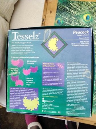 Image 2 of Jigsaw peacock.  Tessellation challenge