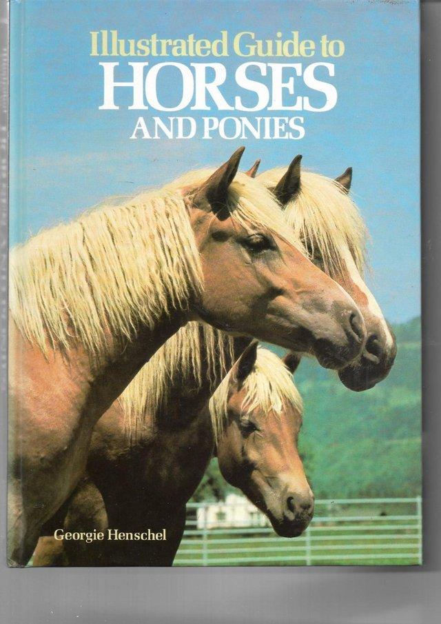Preview of the first image of ILLUSTRATED GUIDE TO HORSES AND PONIES - BOOK.