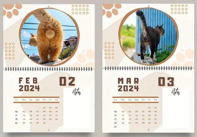 Preview of the first image of 2024 Year Cat Balls Calendar, Funny Cat Calendar, Essential.