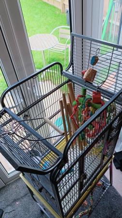 Image 1 of Parrot cage with accessories & toys