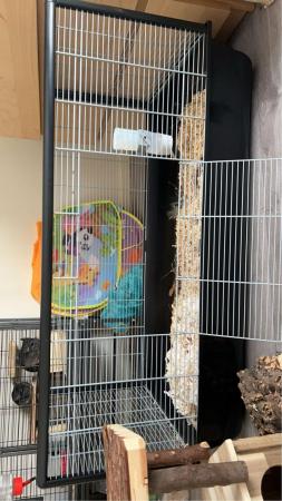 Image 5 of Hamster cage and more for sale
