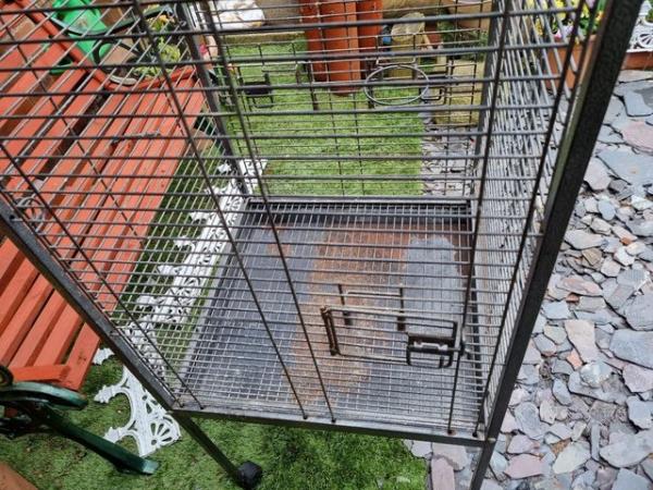 Image 2 of large parrot cage it has a large open up top