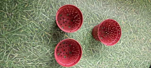 Image 2 of Brown plastic pierced pot for cacti & carnivorous plants
