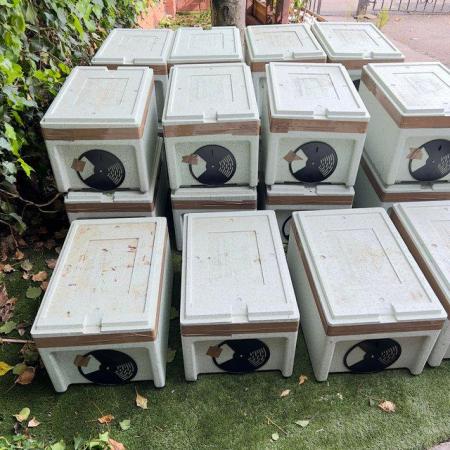 Image 4 of National and Langstroth Bee nucs for sale reserve your nucs