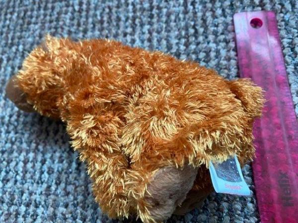 Image 2 of Cute Grizzly Bear Beanie Baby Cuddly toy 'Sequoia'