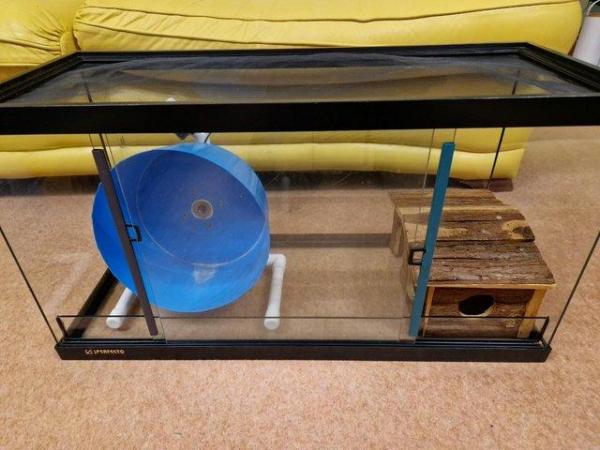 Image 5 of Pygmy hedgehog cage with accessories
