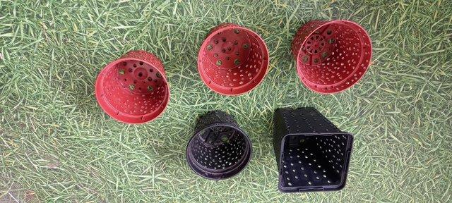 Image 3 of Plastic pierced pots for cacti and carnivorous plants