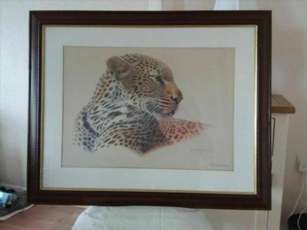 Image 6 of WILDLIFE SIGNED LIMITED EDITION PRINT COLLECTION # FRAMED