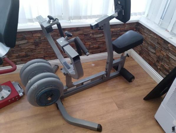 Image 2 of PLATE LOADED ROWING MACHINE C/W WEIGHTS IN PICTURE