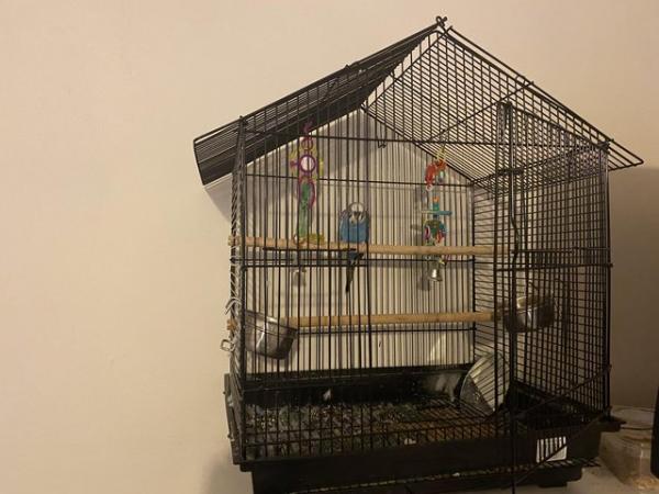 Image 3 of Budgie cage for sale No budgie