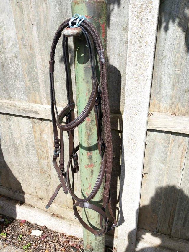 Preview of the first image of Collegiate Full Size Bridle in Havana Colour.