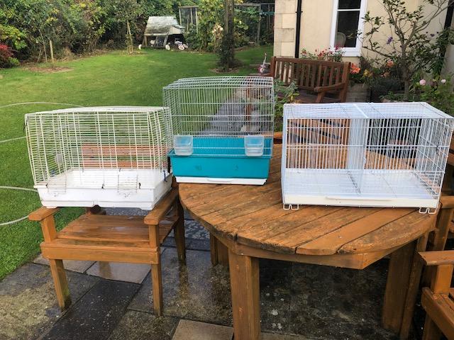 Preloved bird cages best sale