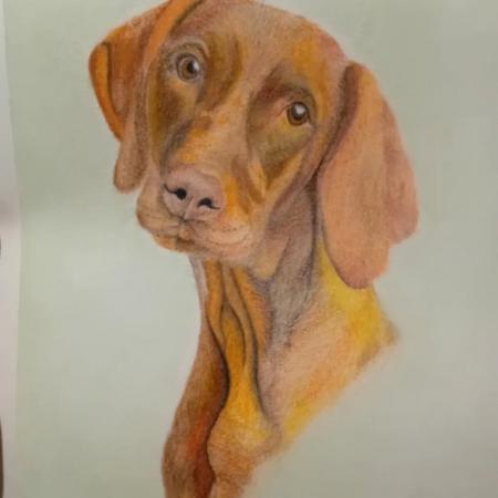 Image 5 of Hand Drawn Pet Portraits in pastel