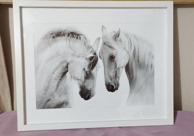 Preview of the first image of Gorgeous horse photo art print in white frame..
