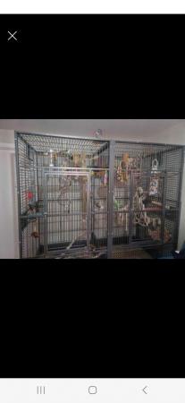 Image 2 of Nova2 parrot cage excellent condition