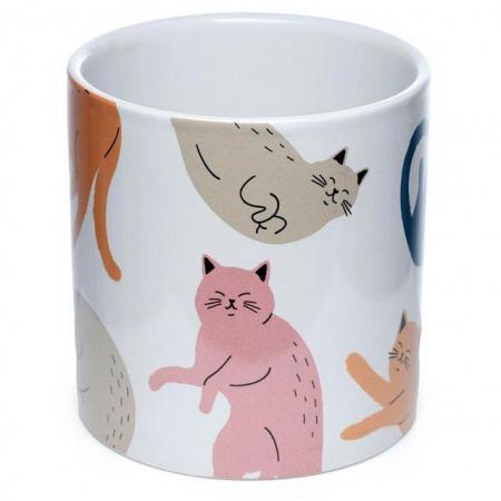 Image 3 of Cat's Life Ceramic Indoor Plant Pot - Large. Free uk postage