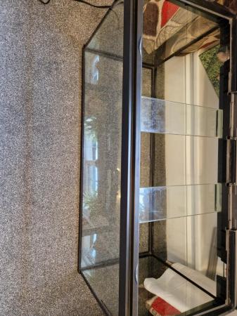 Image 4 of 3ft+ glass tank for gerbils reptiles snake etc