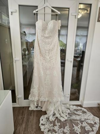 Image 2 of Maggie Sottero Ralston wedding dress