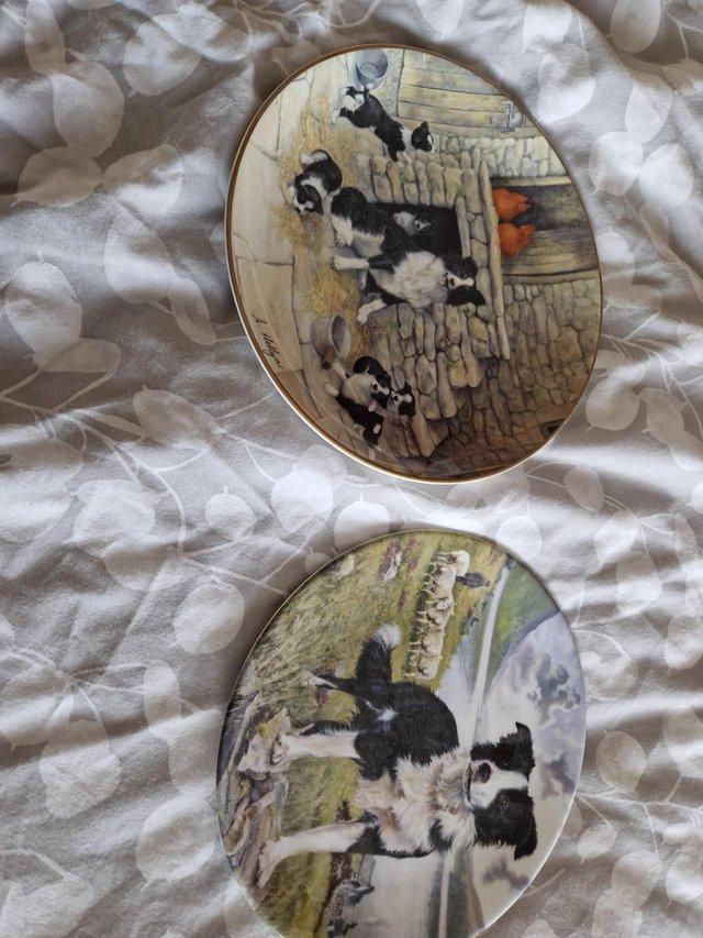 Preview of the first image of BORDER OF FINE ARTS PLATES GOOD CONDITION.