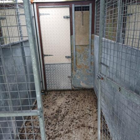 Image 4 of Kennel Block of 14 kennels and runs