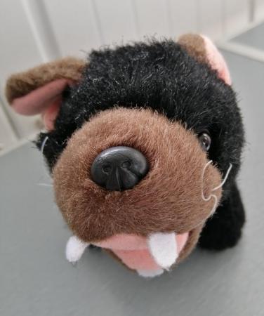 Image 4 of A Small "Tasmanian Devil" Soft Toy by Windmill Toys, Austral