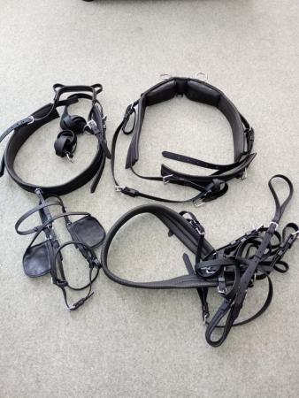 Image 1 of Small driving harness 11- 12.2 hh pony