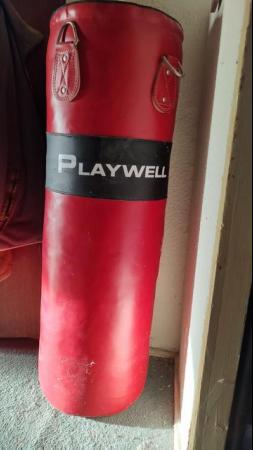 Image 1 of Leather Playwell Punchbag