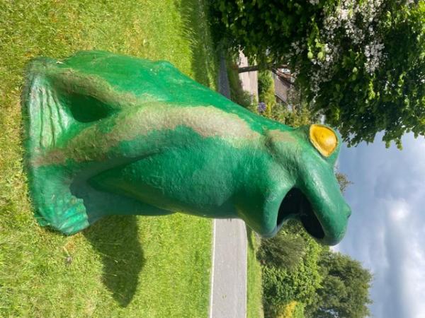 Image 3 of The BIG Green Frog - I eat litter