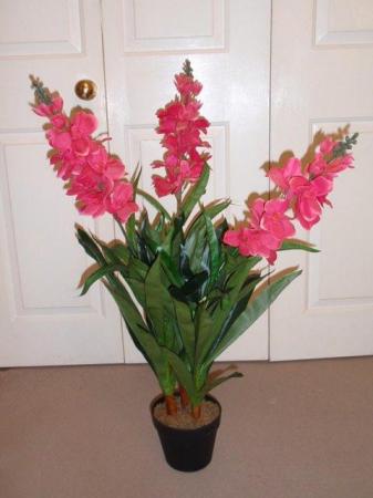 Image 1 of Large Artificial Plant with Dark Pink / Red flowers