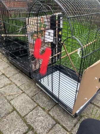 Image 3 of x4 bird cage decent size Bargain!!