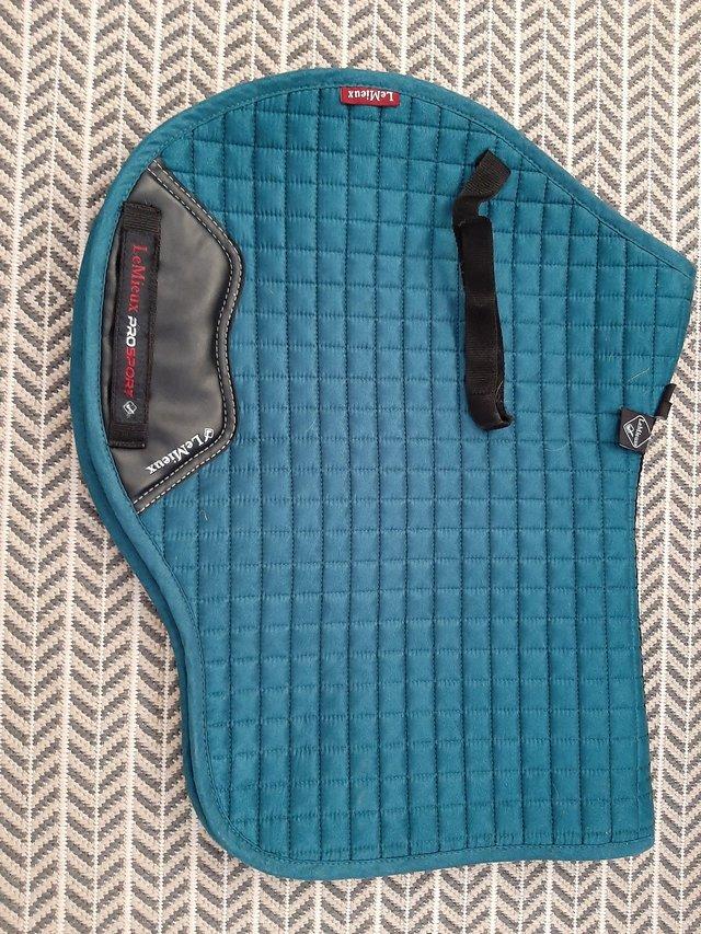 Preview of the first image of Lemieux saddlepad , peacock.
