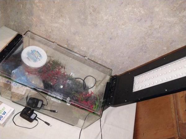 Image 4 of Complete 25litre Fish tank