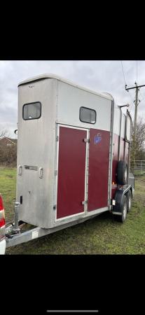 Image 3 of 3 x horse ifor Williams trailers. 505, 510