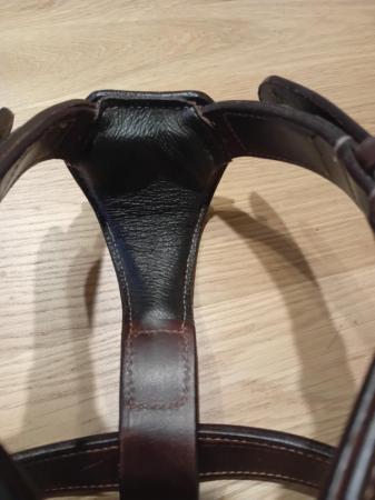 Image 4 of Staffordshire Bull Leather Harness