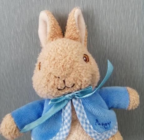 Image 6 of A Small Peter Rabbit Soft Toy. This is Peter Rabbit Himself