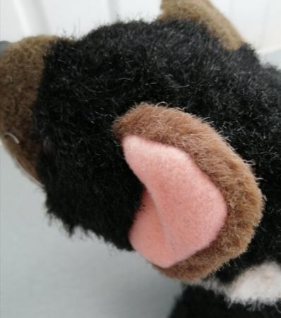 Image 9 of A Small "Tasmanian Devil" Soft Toy by Windmill Toys, Austral
