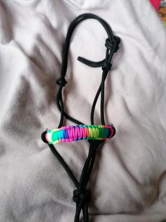 Image 2 of Rainbow bitless rope bridle cob sized