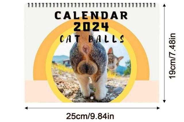 Image 3 of 2024 Year Cat Balls Calendar, Funny Cat Calendar, Essential